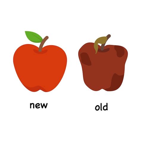 Other Words for New 的图像结果