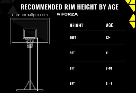 What's The Height Of A Basketball Hoop Nba at Deangelo Scholl blog
