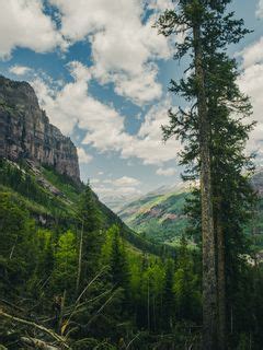 Download wallpaper 240x320 trees, mountains, landscape, forest, rocks ...
