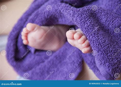 Baby feet in purple towel stock photo. Image of bright - 90963032