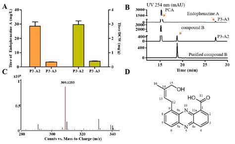 Development of Artificial Synthetic Pathway of Endophenazines in ...