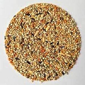 Buy HANU Bajri Bird Food 1KG | Mix Seed for Budgies, Love Birds ...