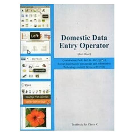 Domestic Data Entry Operator Textbook For Class X | IT-ITeS Sector ...