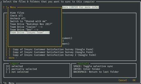 Image result for Insync Linux
