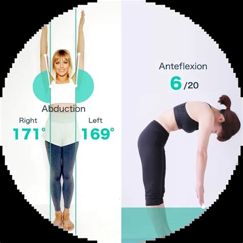 Body Alignment Test 的图像结果