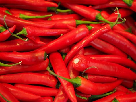 Organic Red Chilli Raw – GreenDNA® India