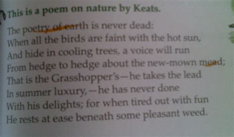 using theses stanza tell me the contrast sentence and personification ...