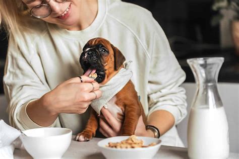 Can Dogs Eat Granola (Bars or Mix)? What Are The Risks? - A-Z Animals