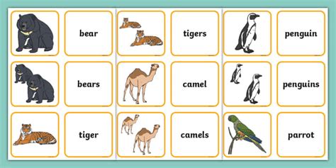 Zoo Animals Matching Cards (Singular and Plural)｜小三小四適用
