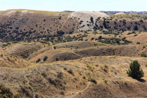 36 great photos of Juniper Dunes Wilderness in Washington | BOOMSbeat