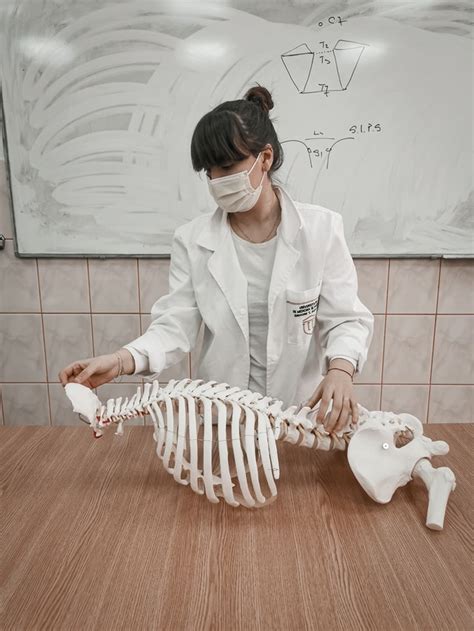 ASMR Map Drawing 的图像结果