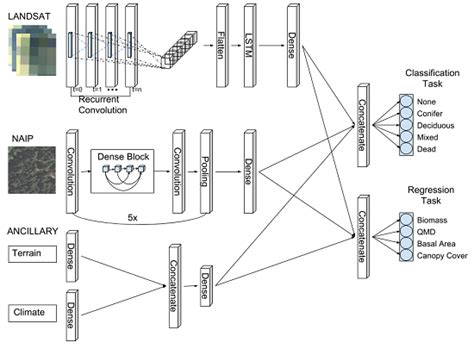 Chimera: A Multi-Task Recurrent Convolutional Neural Network for Forest ...