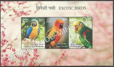 2016 Exotic Birds 2 Miniature Sheet – Worldwidemint
