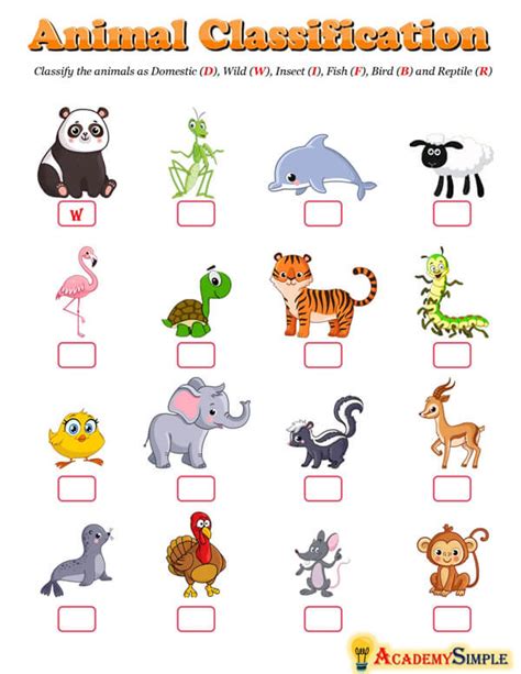 Image result for Animal Classification Tutorial in Python