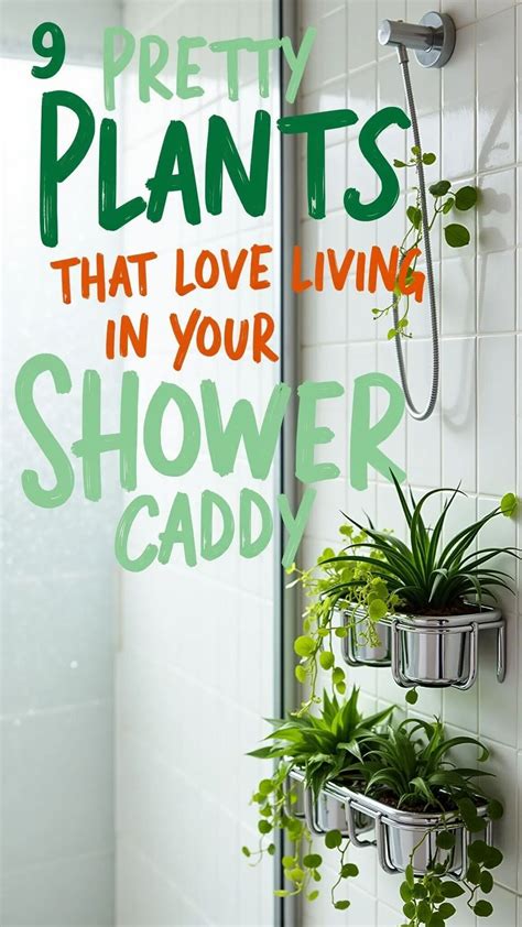9 Pretty Plants That Love Living in Your Shower Caddy | Bathroom plants ...