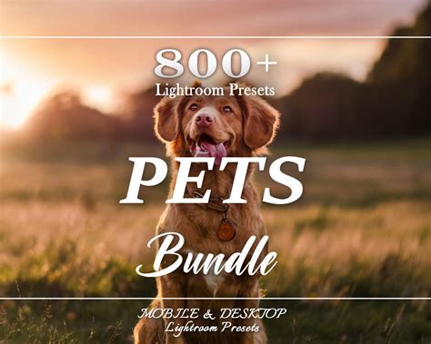 Top 11+ Free Lightroom Pet Presets Xmp