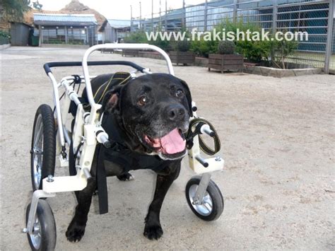 Quadro wheelchair