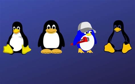 Image result for Types of Users Linux