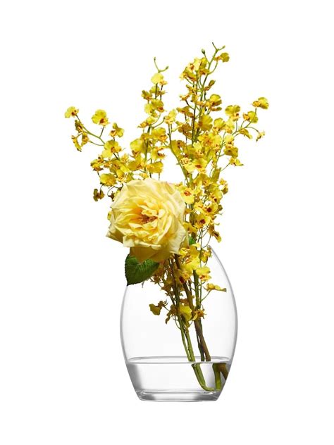Buy Anton Studio Designs Clear Large Highbury Vase from Next India