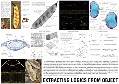 CONVERTIBLE CHAIR INSPIRED FROM ACACIA SEEDPOD | CEPT - Portfolio