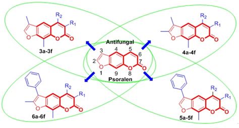 Design, Synthesis and Antifungal Activity of Psoralen Derivatives
