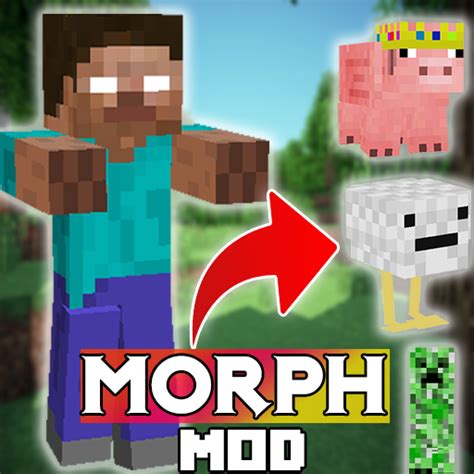 Image result for How to Install Forge Morph Mod