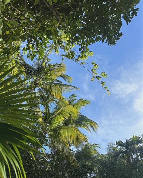 Ainsley Weber (@ainsley.weber) • Instagram photos and videos