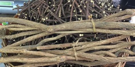Mulethi Herb [Licorice]: 10 Benefits, Nutrients & Uses