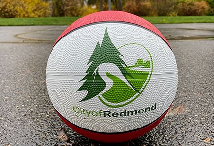 2020 Redmond Lights, Poetry From The Ground Up, Hand Painted Holiday ...