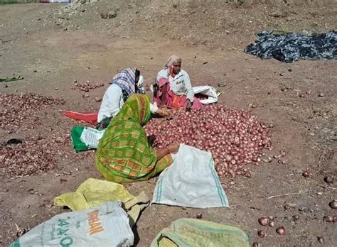 Anger among farmers of Botad Panthak: Demand of farmers to remove the ...