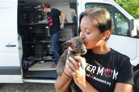 Houston nonprofit Rescued Pets Movement feeling financial strain