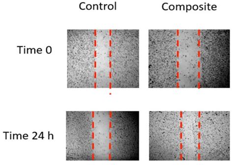 JFB | December 2022 - Browse Articles