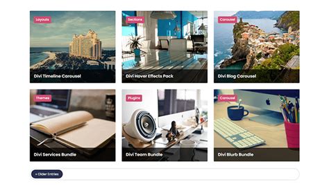 Image result for Divi Portfolio Module