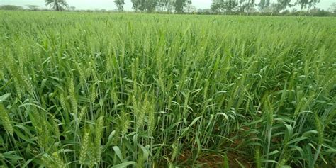 Human Empowerment for Life Program | GALLERY