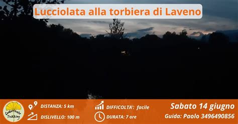 Lucciolata alla torbiera di Laveno, Mombello (VA), Laveno-mombello, 14 ...