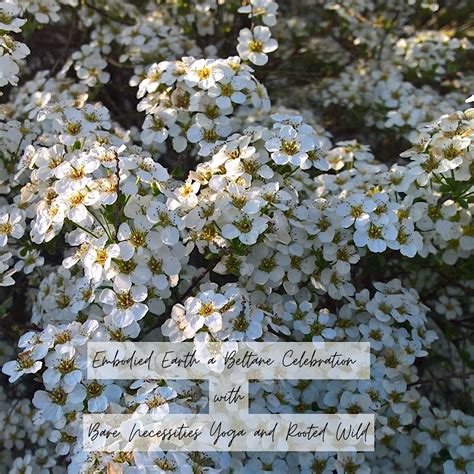 Embodied Earth a Beltane Celebration, Walsworth Community Centre ...