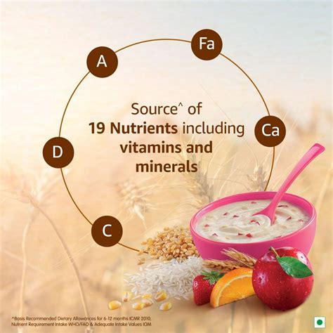 Nestle Cerelac Wheat Rice Mixed Fruit Baby Cereal, 10 to 12 Months, 300 ...