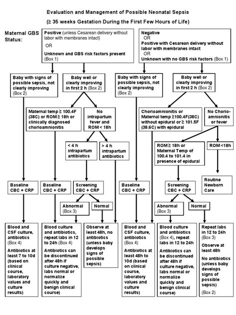Image result for Neonatal Sepsis Algorithm
