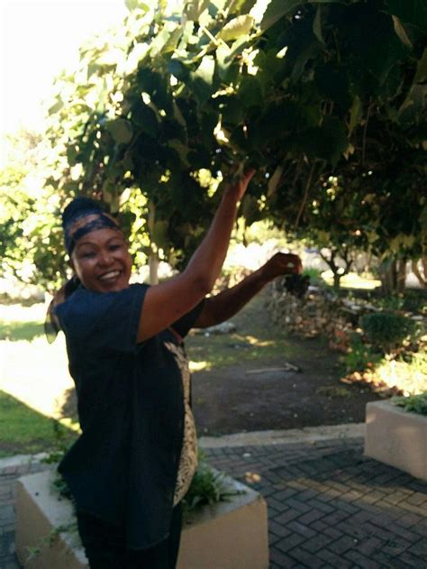 KIBO LODGE (Kokstad) - Guesthouse Reviews & Photos - Tripadvisor