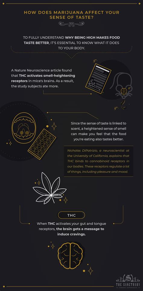 Why Does Food Taste Better High? 5 Tips To Avoid Munchies - The Sanctuary