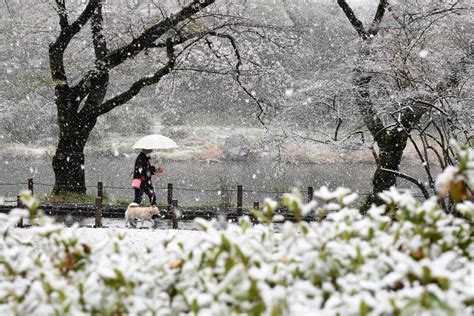 4月の雪 都内や日光で積雪 関東甲信、11日にかけて大雪の恐れ | 毎日新聞