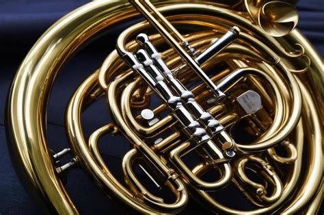 Image result for Brass Instruments French Horn