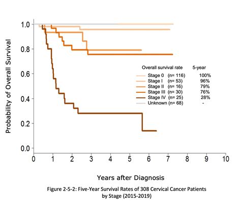 Cervical Cancer Survival Rates By Stage Explained