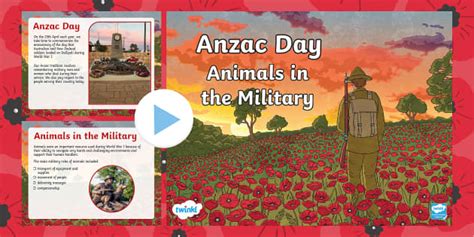 Anzac Day - Animals in the Military PowerPoint Years 5-6
