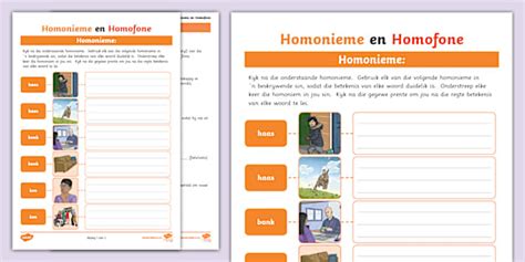 Homonieme en Homofone Werkkaarte | Twinkl Suid-Afrika