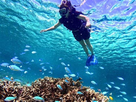 Miyakojima Sea Turtle Snorkeling Half-Day Experience (Okinawa) - Klook ...