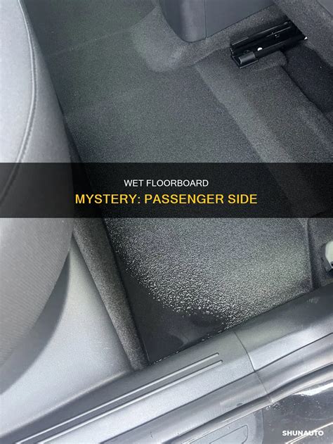 Wet Floorboard Mystery: Passenger Side | ShunAuto