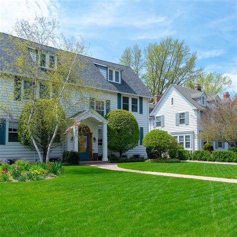 Amazon.com : Outsidepride 5 lb. Monaco (from Riviera) Bermuda Drought ...