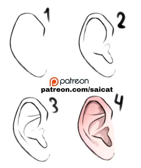 Image result for Ear Drawing Tutorial