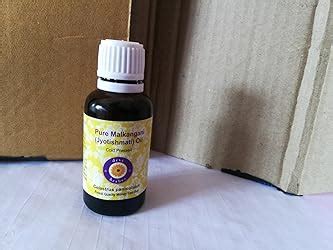 Buy Deve Herbes Pure Malkangani (Malkangni/Jyotishmati) Oil (Celastrus ...